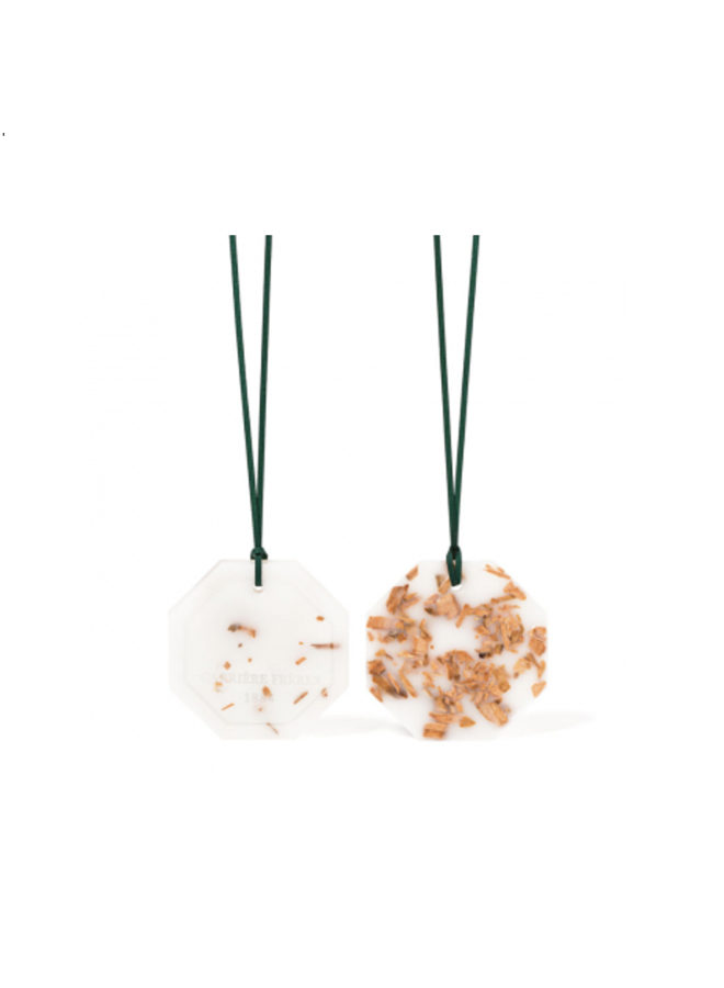 BOTANICAL PALET – CEDAR