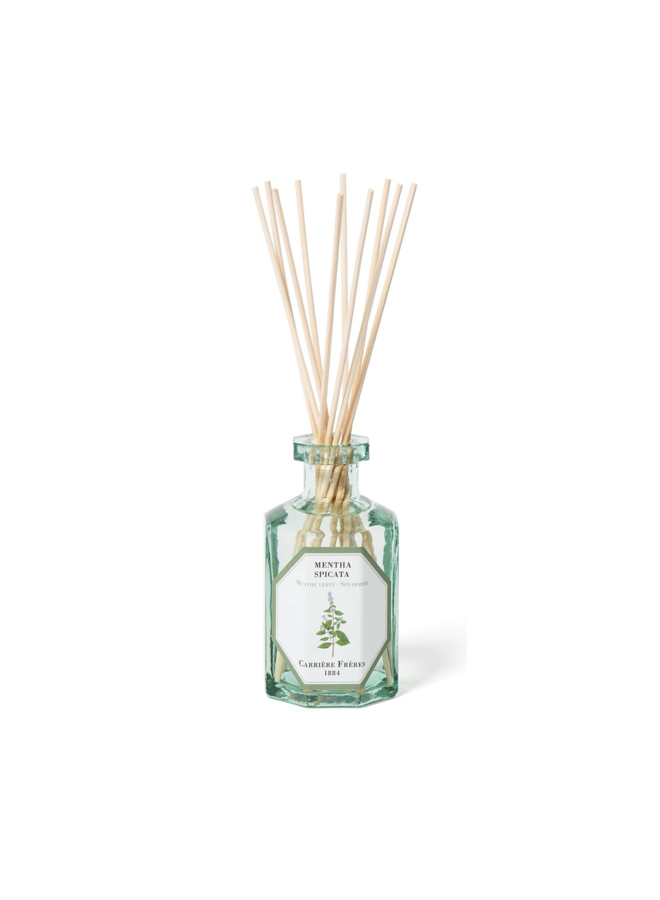 CF DIFFUSERS - SPEARMINT