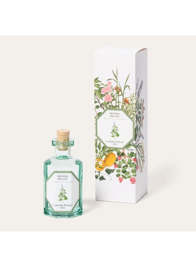CARRIÈRE FRÈRES DIFFUSER – SPEARMINT