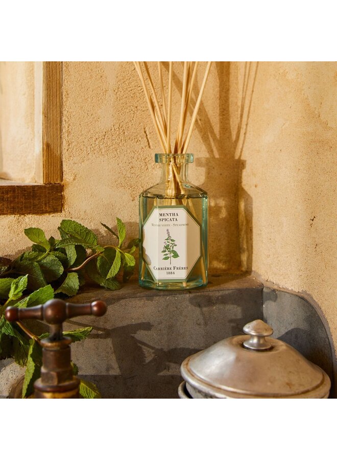 CARRIÈRE FRÈRES DIFFUSER – SPEARMINT