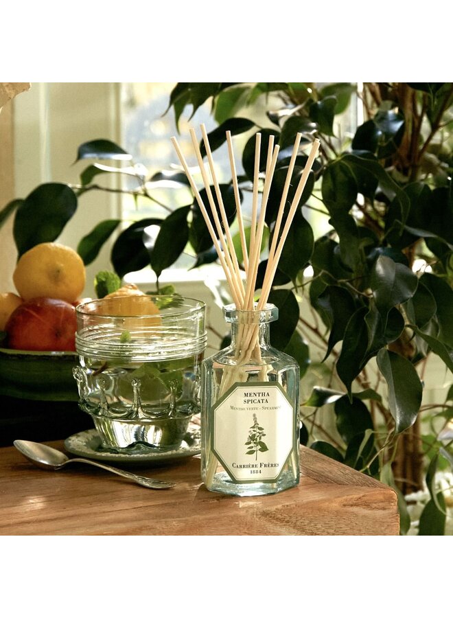 CARRIÈRE FRÈRES DIFFUSER – SPEARMINT