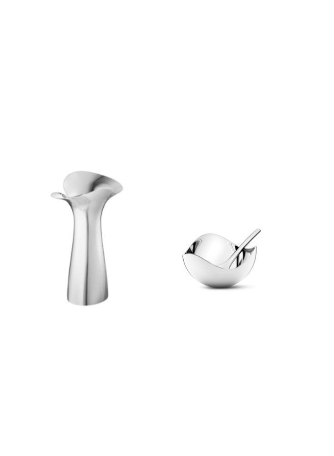 GIFT SET - BLOOM BOTANICA VASE, SMALL + BLOOM SALT CELLAR WITH SPOON