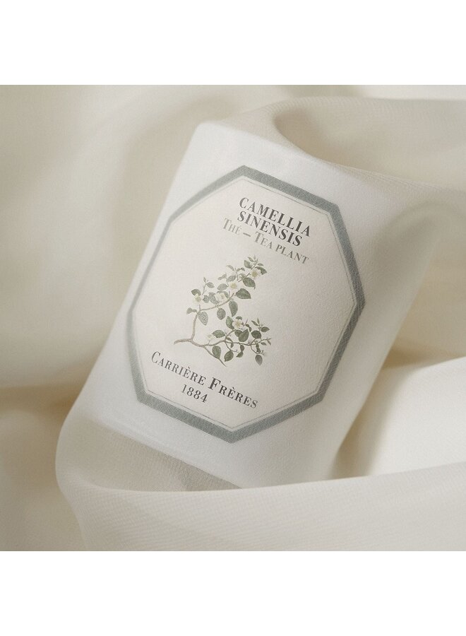 GIFT SET - CF BOTANICAL PALETS CYPRESS + CF SCENTED CANDLES TEA