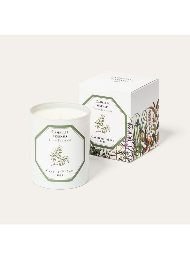 GIFT SET - CF BOTANICAL PALETS CYPRESS + CF SCENTED CANDLES TEA