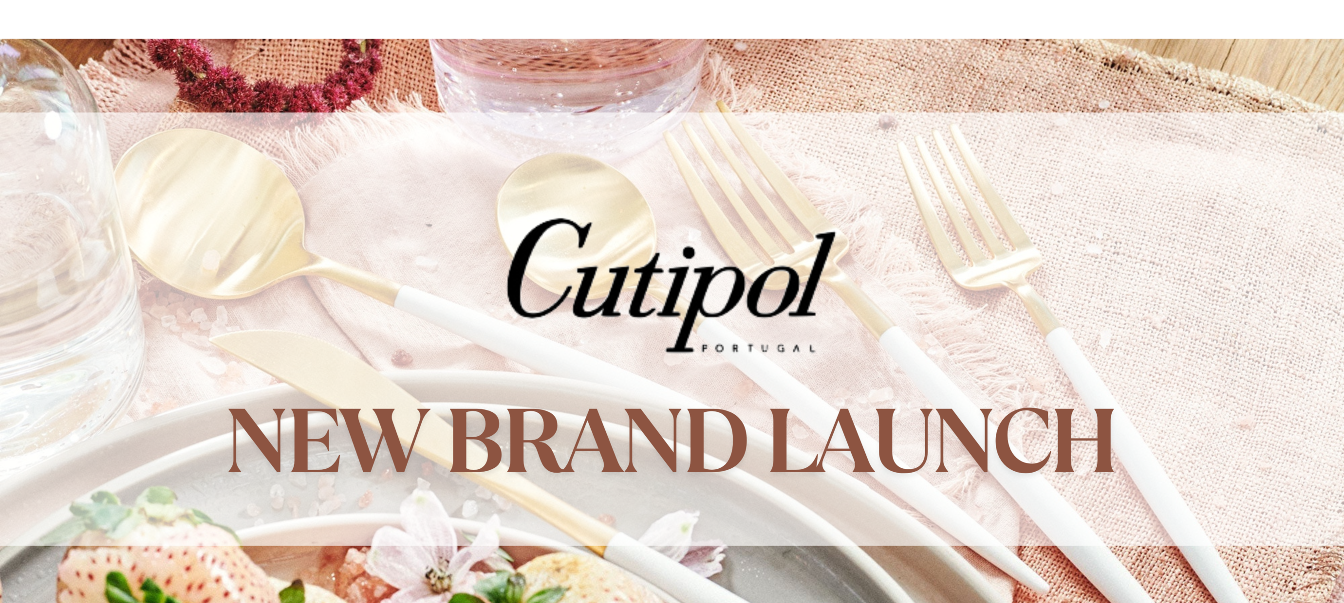 Cutipol Arrives at Homey Home: Elevate Your Dining Experience