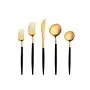 GOA 5PCS BLACK GOLD SET