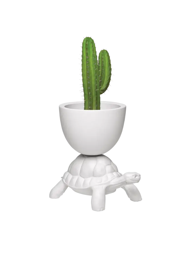 PLANTER - TURTLE CARRY PLANTER AND CHAMPAGNE COOLER