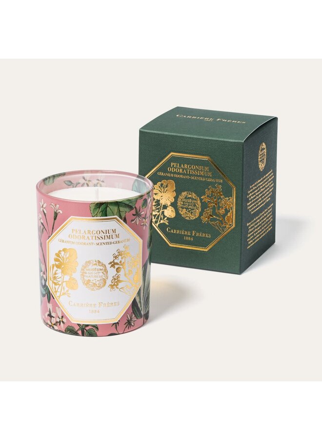 CF SCENTED CANDLES - MUSEUM GERANIUM