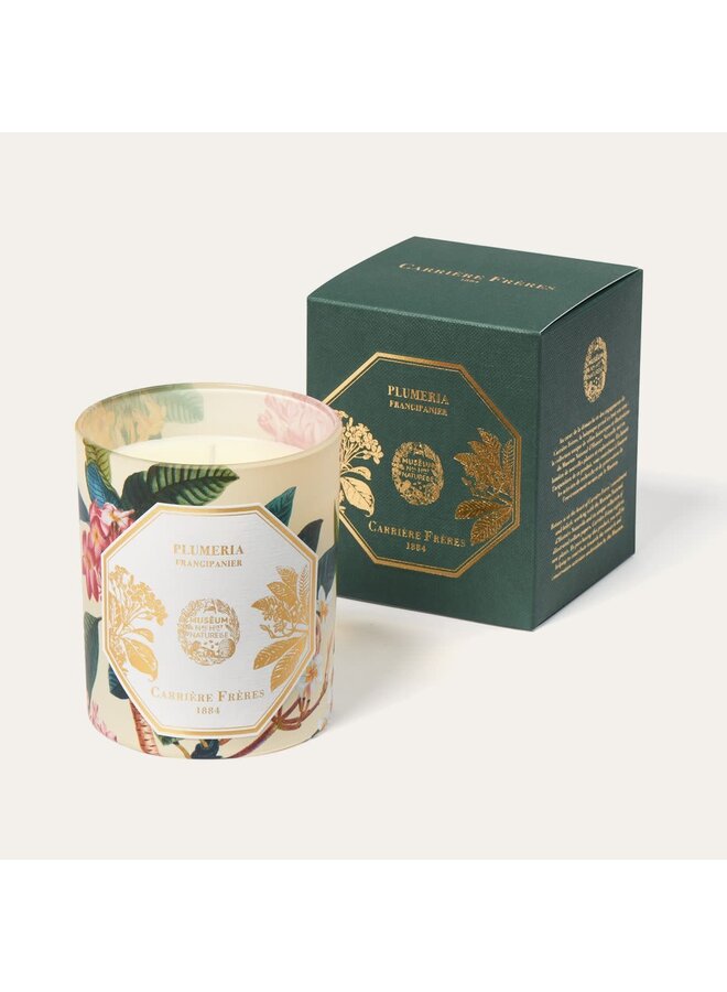 CARRIÈRE FRÈRES MUSEUM FRANGIPANI SCENTED CANDLE