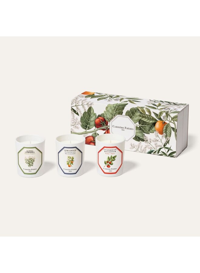 CARRIÈRE FRÈRES BOTANICAL SCENTED CANDLE SET OF 3
