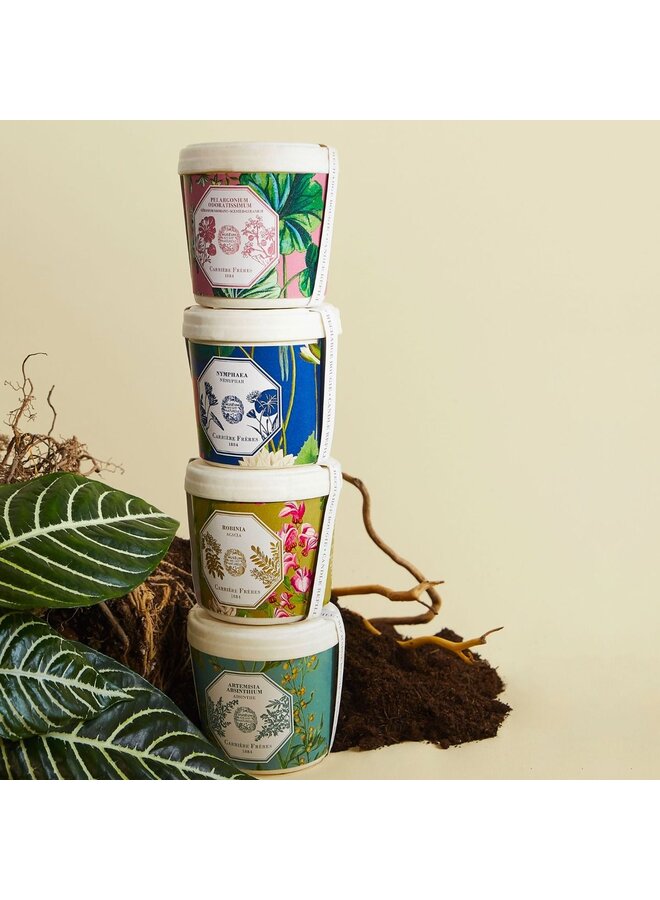 REFILL CANDLE 185G MUSEUM ABSINTHE