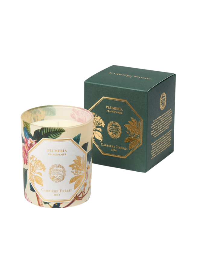 CARRIÈRE FRÈRES MUSEUM FRANGIPANI SCENTED CANDLE