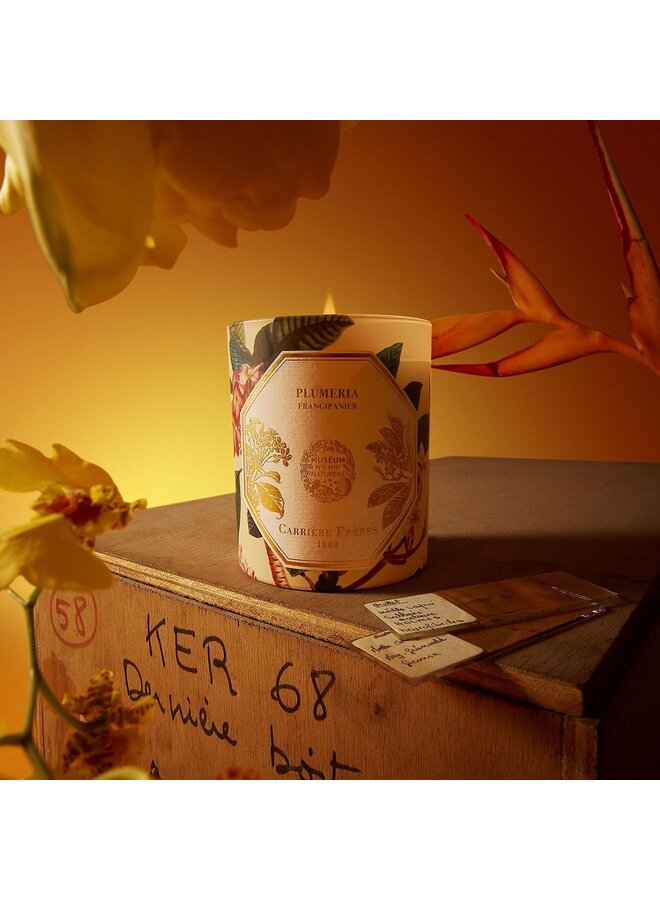 CARRIÈRE FRÈRES MUSEUM FRANGIPANI SCENTED CANDLE