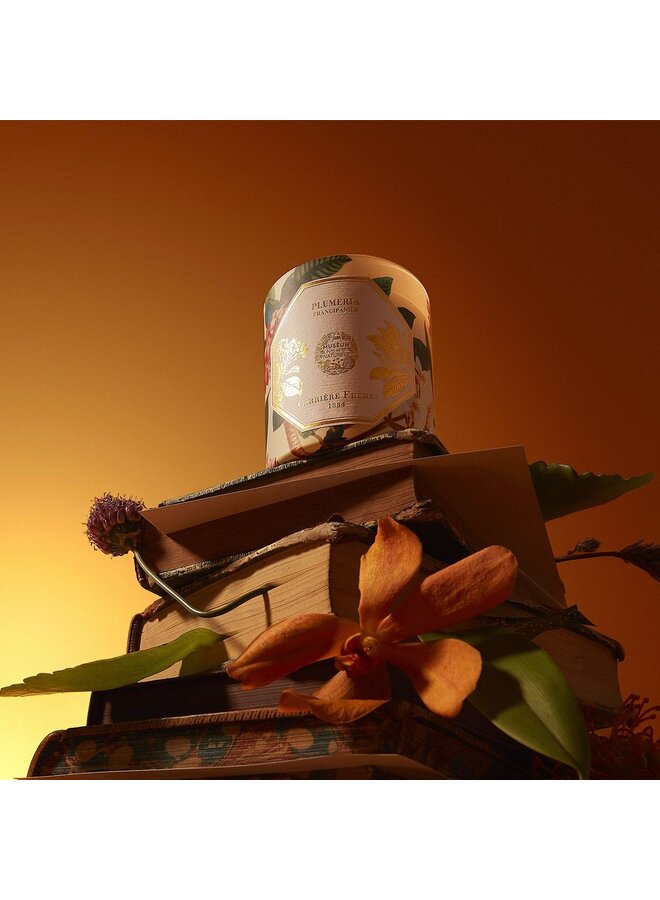 CARRIÈRE FRÈRES MUSEUM FRANGIPANI SCENTED CANDLE