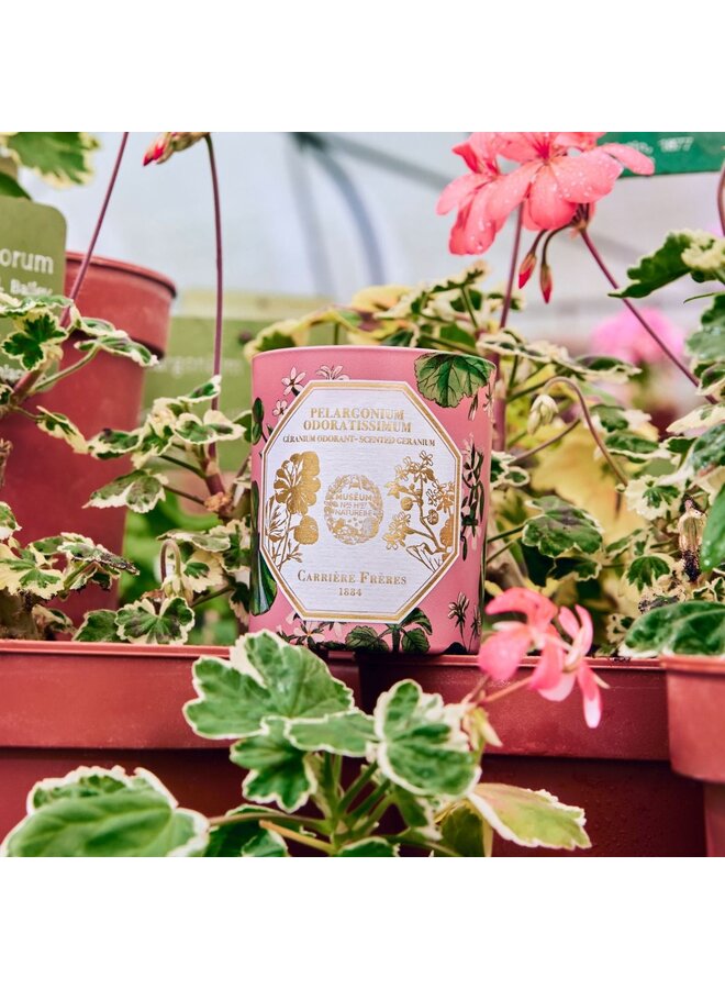CARRIÈRE FRÈRES MUSEUM GERANIUM SCENTED CANDLE