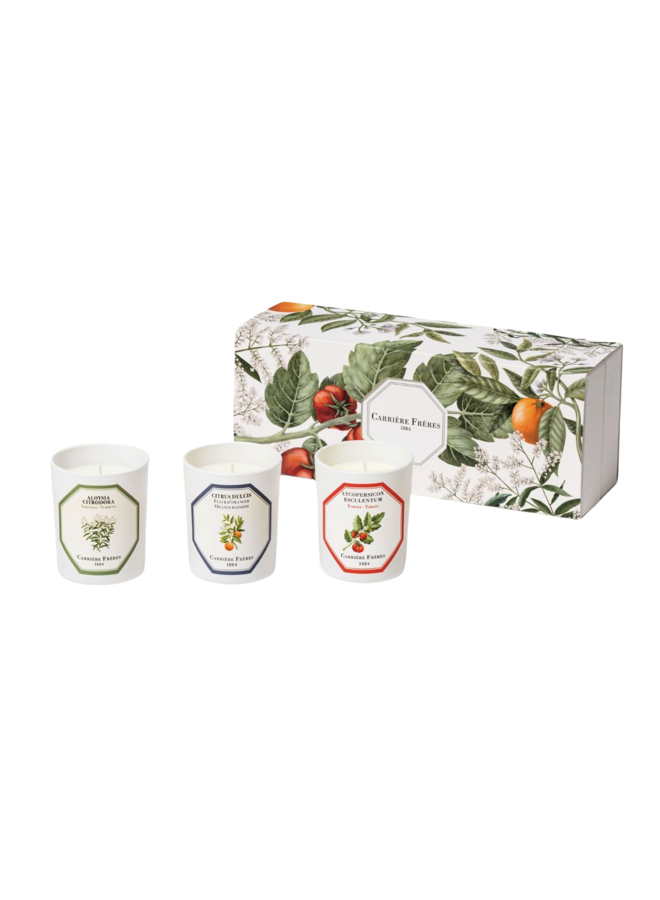 CARRIÈRE FRÈRES BOTANICAL SCENTED CANDLE SET OF 3