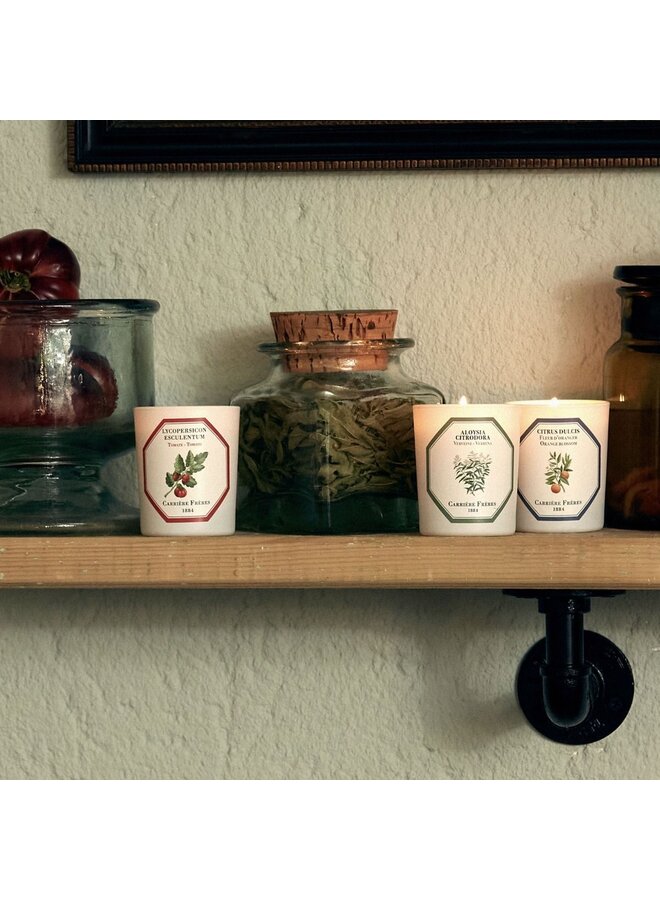 CARRIÈRE FRÈRES BOTANICAL SCENTED CANDLE SET OF 3