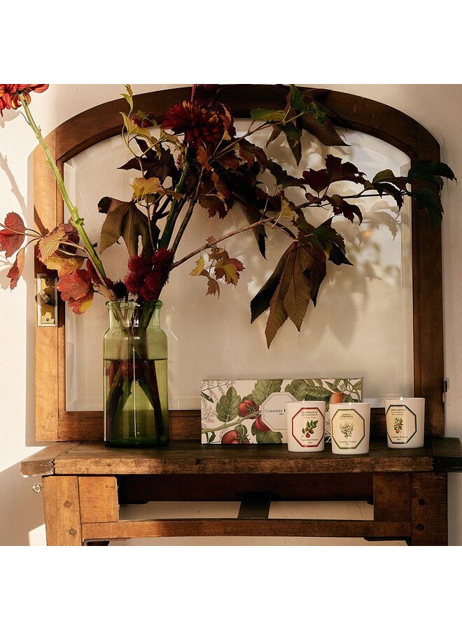CARRIÈRE FRÈRES BOTANICAL SCENTED CANDLE SET OF 3