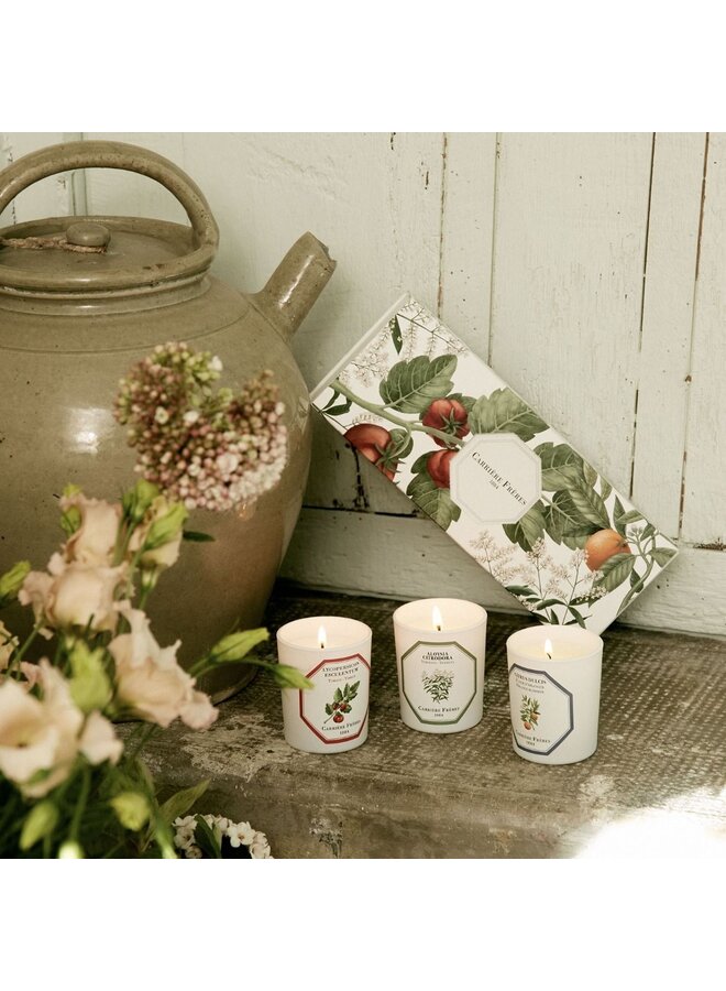 CARRIÈRE FRÈRES BOTANICAL SCENTED CANDLE SET OF 3