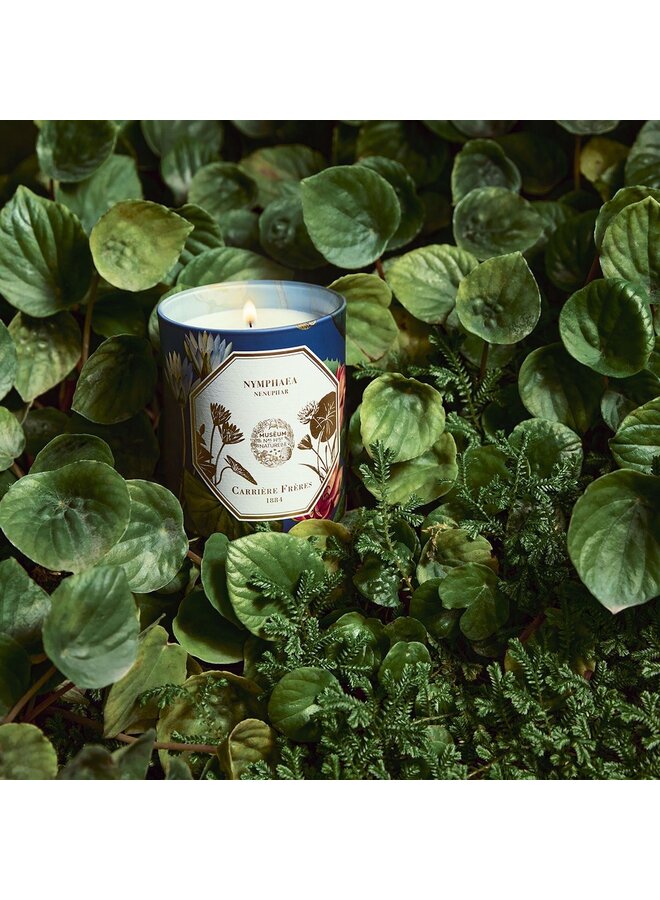 CF SCENTED CANDLES - MUSEUM NENUPHAR (WATERLILY)