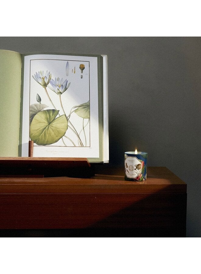 CARRIÈRE FRÈRES MUSEUM NÉNUPHAR (WATERLILY) SCENTED CANDLE