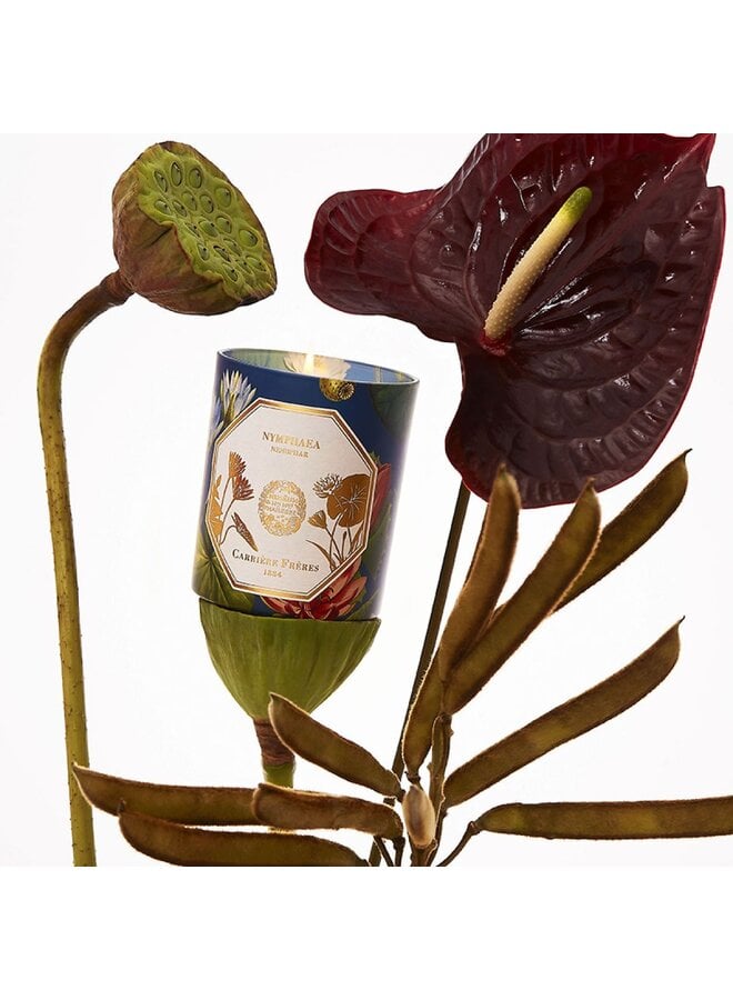 CARRIÈRE FRÈRES MUSEUM NÉNUPHAR (WATERLILY) SCENTED CANDLE