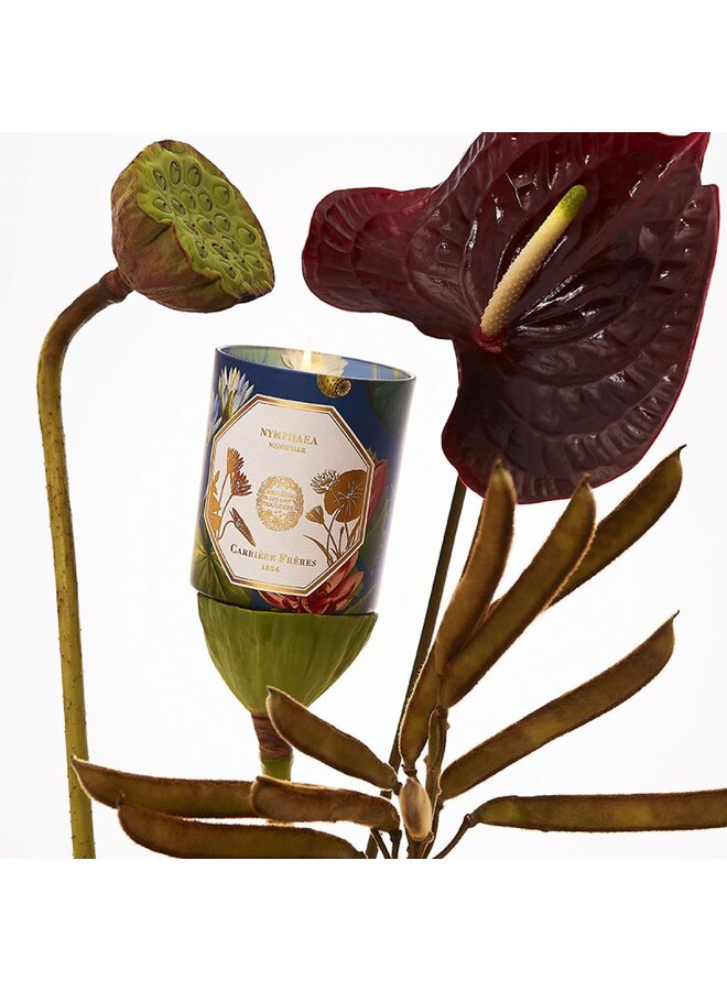 CF SCENTED CANDLES - MUSEUM NENUPHAR (WATERLILY)