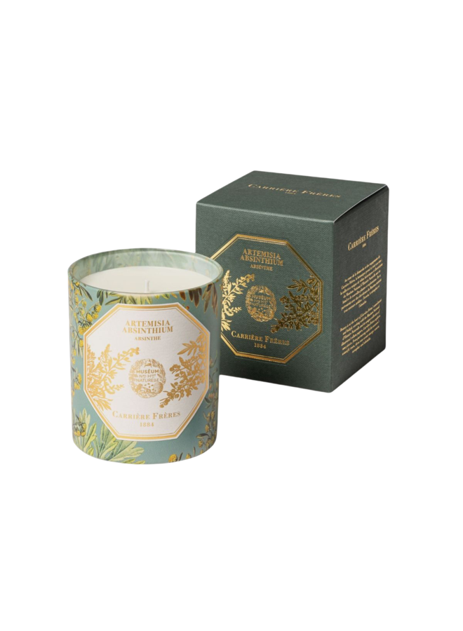 MUSEUM ABSINTHE SCENTED CANDLE