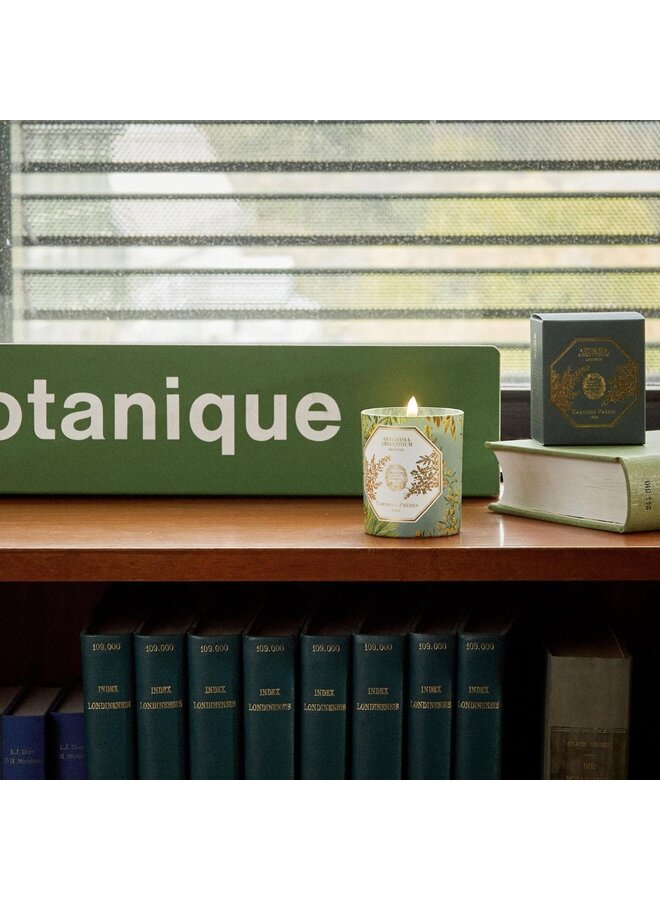CARRIÈRE FRÈRES MUSEUM ABSINTHE SCENTED CANDLE