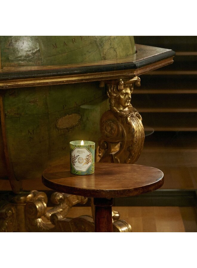 CARRIÈRE FRÈRES MUSEUM ABSINTHE SCENTED CANDLE