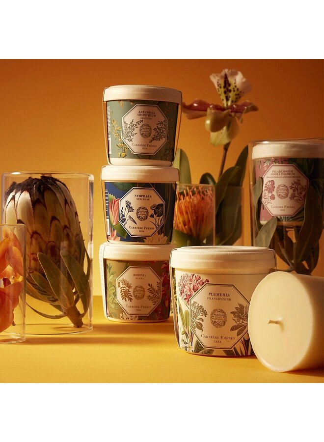 REFILL CANDLE 185G MUSEUM ACACIA