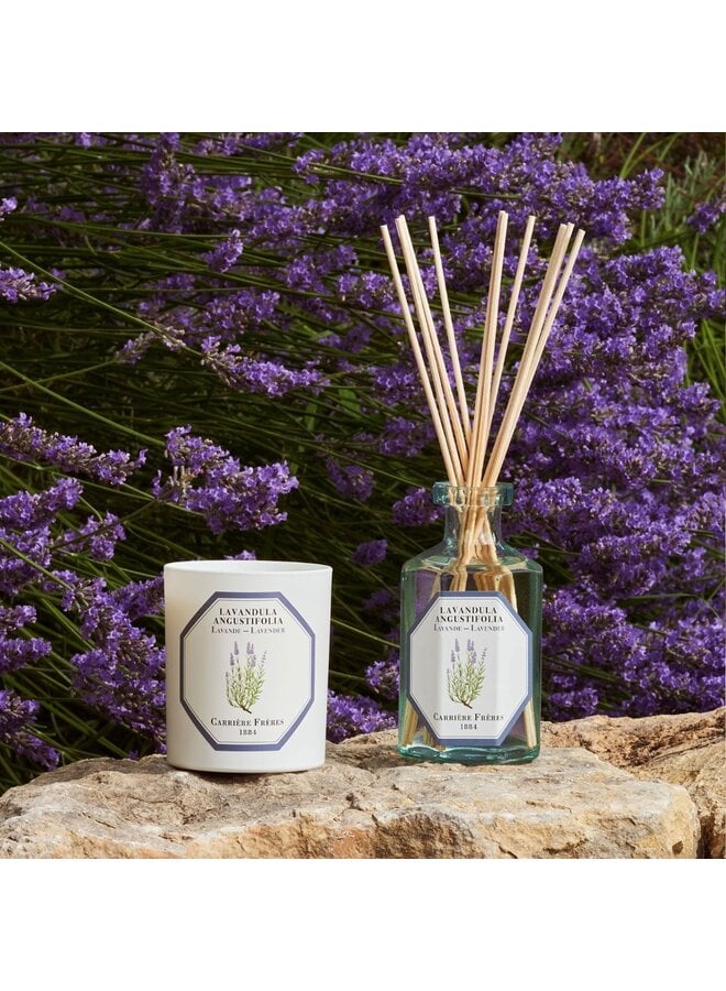 CARRIÈRE FRÈRES DIFFUSER – LAVENDER
