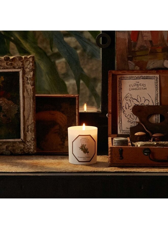 CARRIÈRE FRÈRES CEDAR SCENTED CANDLE