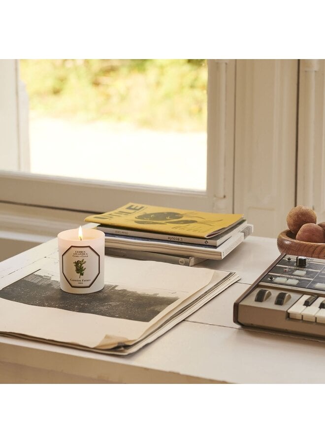 CARRIÈRE FRÈRES CEDAR SCENTED CANDLE