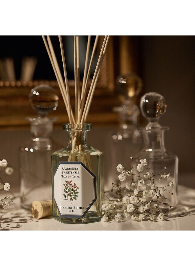 CARRIÈRE FRÈRES DIFFUSER – TIARE