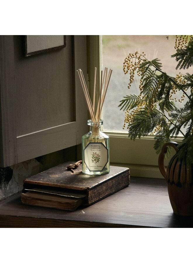 CARRIÈRE FRÈRES DIFFUSER – TIARE