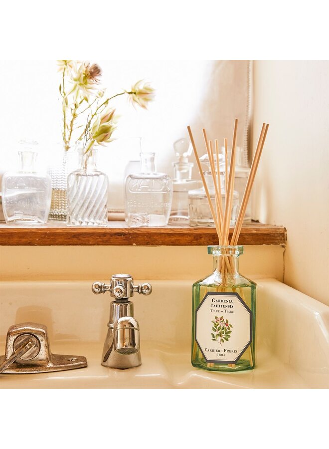 CARRIÈRE FRÈRES DIFFUSER – TIARE