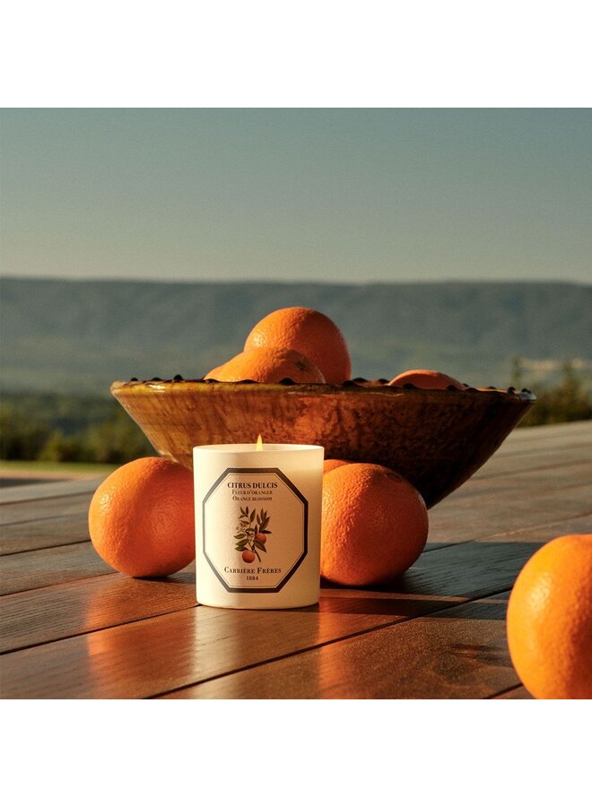CARRIÈRE FRÈRES ORANGE BLOSSOM SCENTED CANDLE