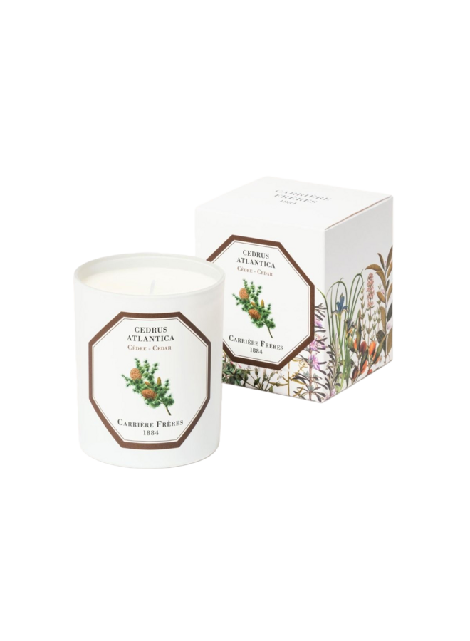 CF SCENTED CANDLES - CEDAR
