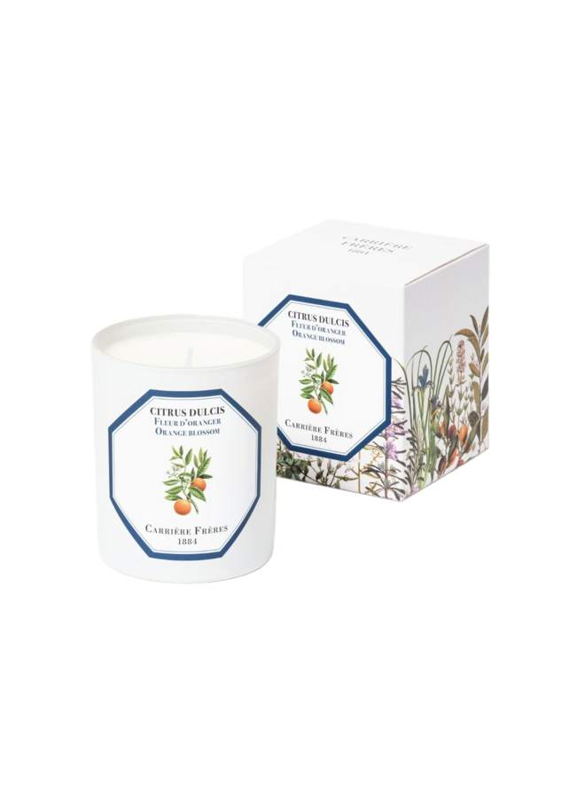 CARRIÈRE FRÈRES ORANGE BLOSSOM SCENTED CANDLE