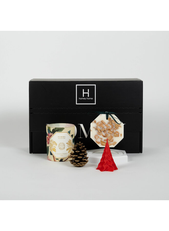 2025 XMAS HOMEY BOX CFMCSP