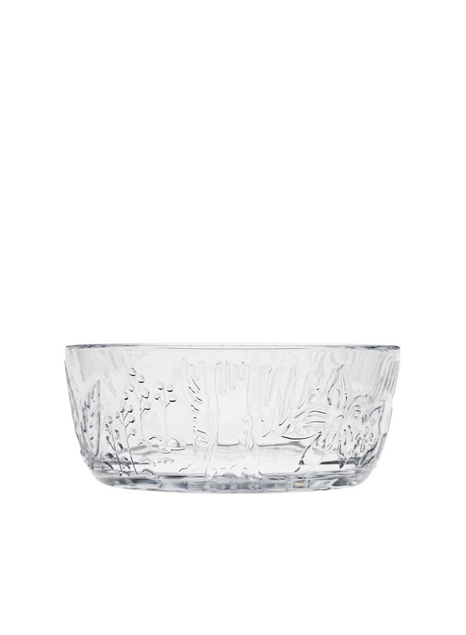 MOOMIN  BOWL CLEAR