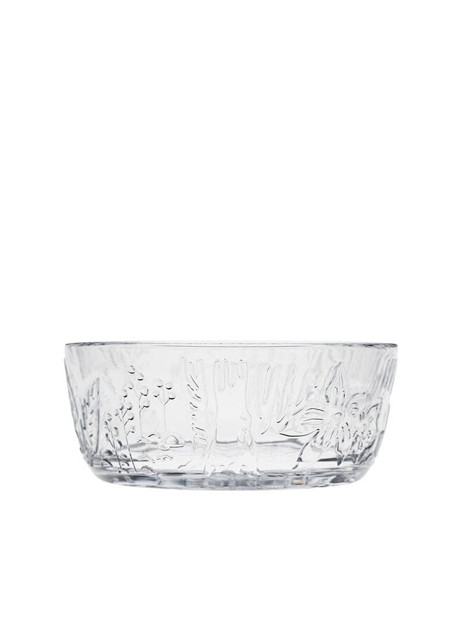 MOOMIN  BOWL CLEAR