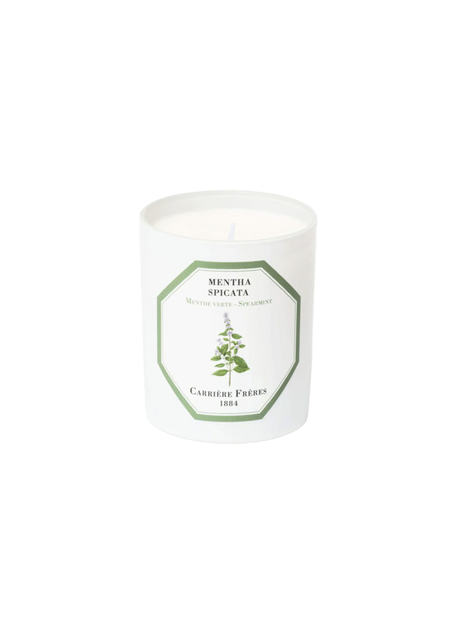 CARRIÈRE FRÈRES SPEARMINT SCENTED CANDLE
