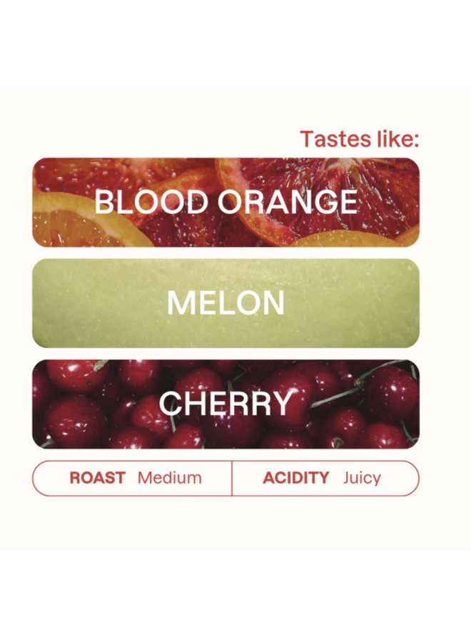 CARLOS CADENA MUNDU MAYA ESPRESSO