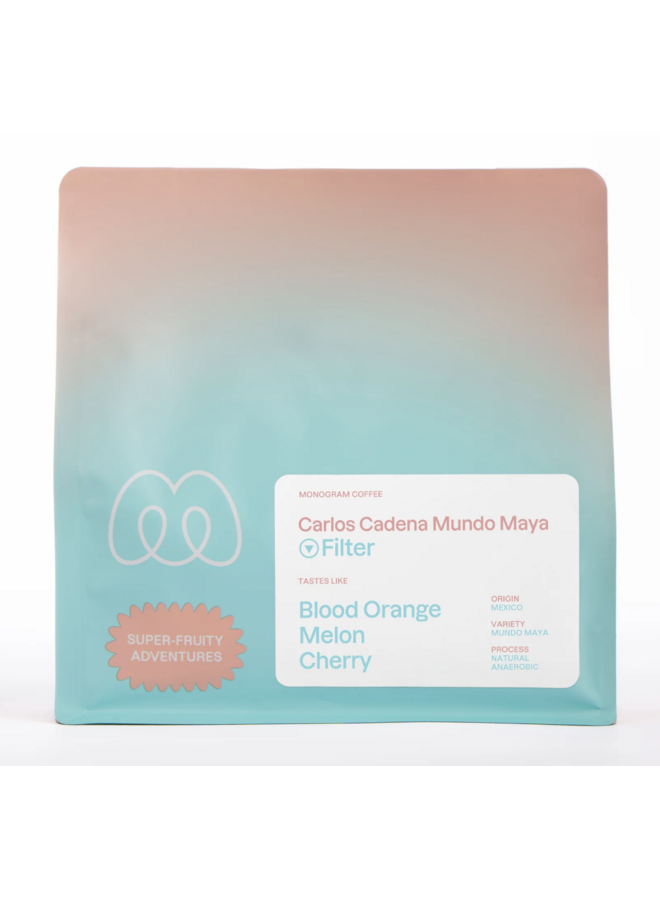 CARLOS CADENA MUNDO MAYA FILTER