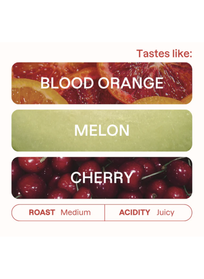 CARLOS CADENA MUNDO MAYA FILTER