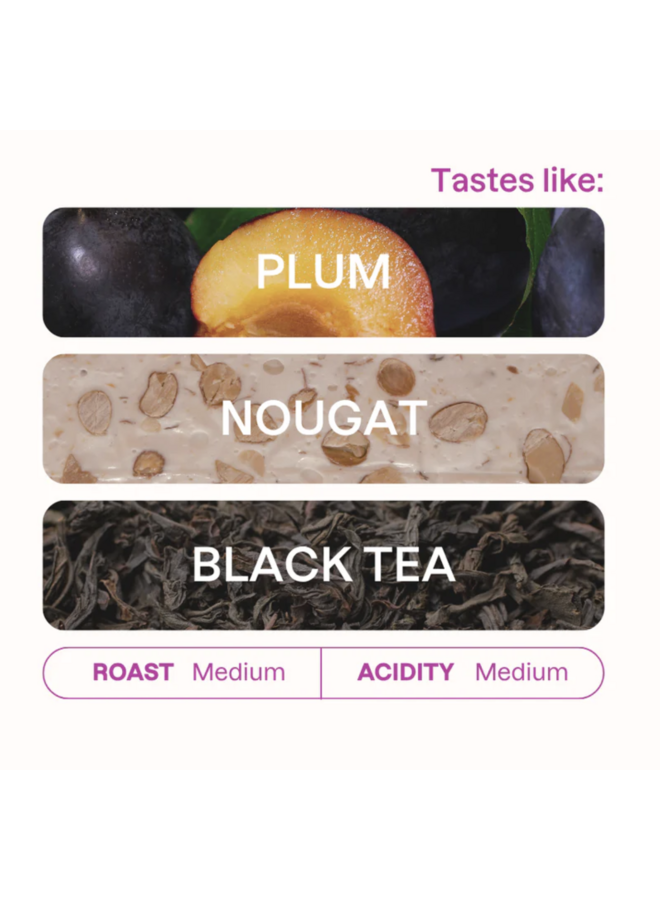 CARMEN ESTATE FILTER