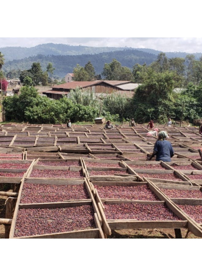 ETHIOPIA BANKO GOTITI
