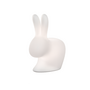 RABBIT LAMP OUTDOOR LED